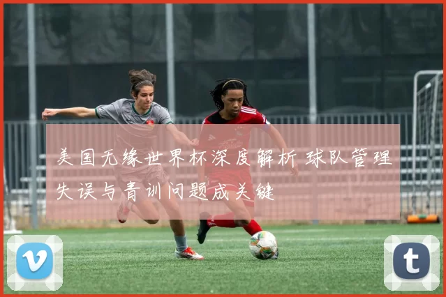 美国无缘世界杯深度解析 球队管理失误与青训问题成关键