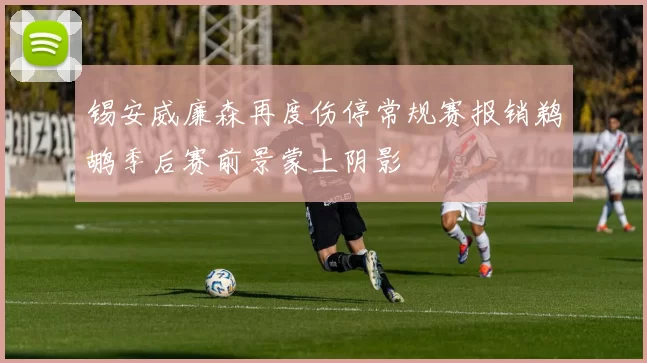 锡安威廉森再度伤停常规赛报销鹈鹕季后赛前景蒙上阴影