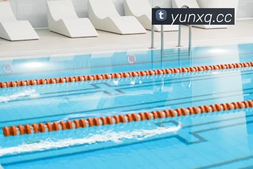 App Interface Preview